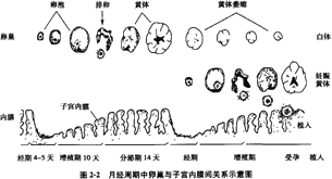 ½ӌmĤֳٵ׃