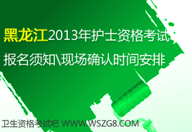 2013ʡoʿ(zh)I(y)YԇrgF_Jrg
